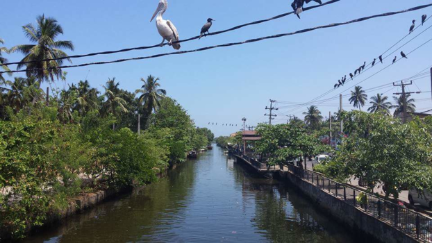 Sri Lanka - Hendala, Wattala in Sri Lanka