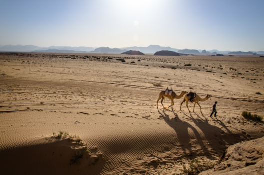 Wadi Rum - In the middle of the desert