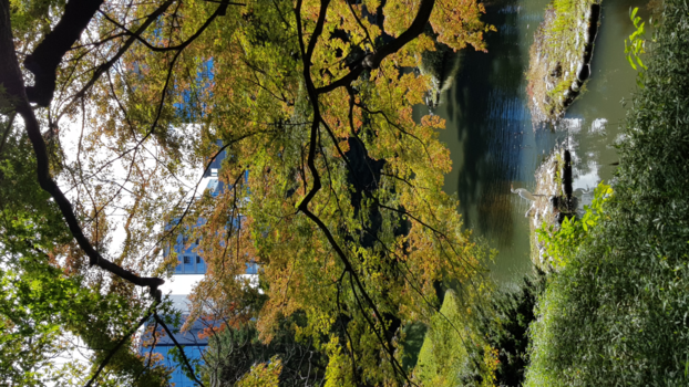 Tokio - Korakuen gardens