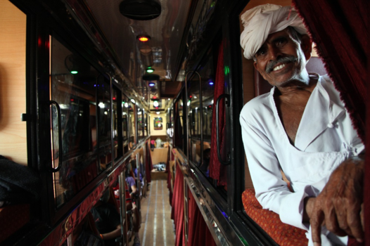 India - Slangenbezweerder in de bus