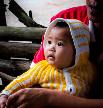 Rondreis Vietnam in twee weken - vietnam