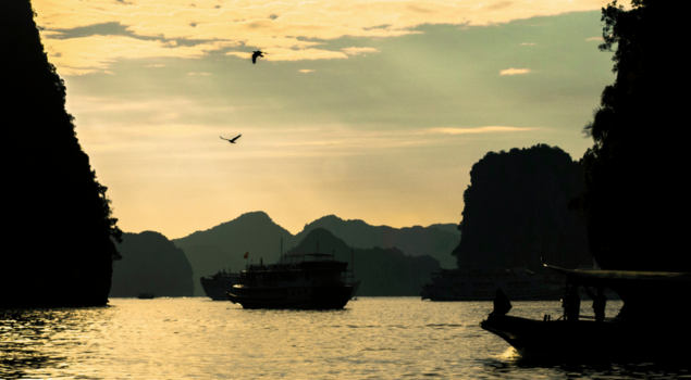 Rondreis Vietnam in twee weken - Ha Long baai vietnam