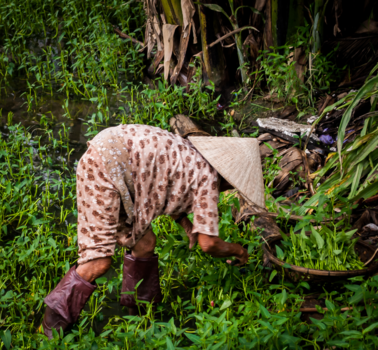 Rondreis Vietnam in twee weken - vietnamese boer