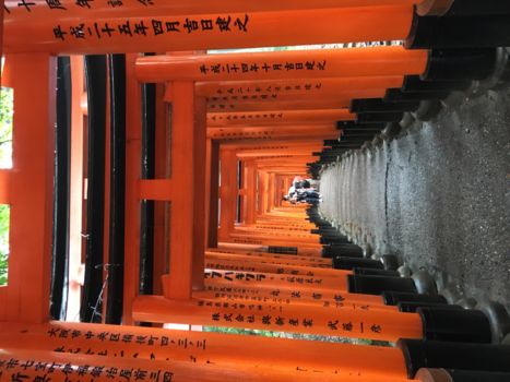 Japan - Zondag wandeltocht