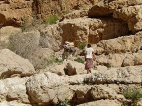 Oman - Onlosmakelijk koppel in een Wadi