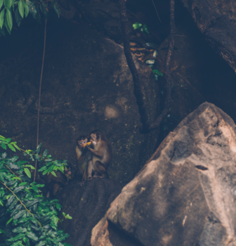 Sri Lanka - Lunch time!