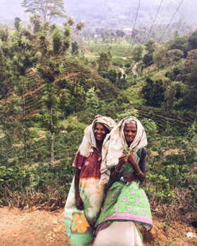 Sri Lanka - Ella, Sri Lanka