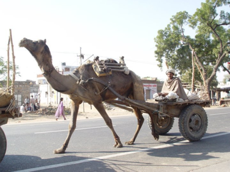 Jodhpur - Fata Morgana