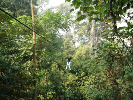 Thailand - Zelf het aapje uithangen? Ook dat kan in Thailand!