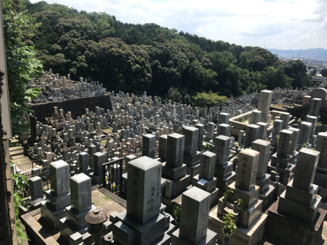 Japan - Cosily graveyard