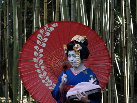 Japan - Geisha in Kyoto