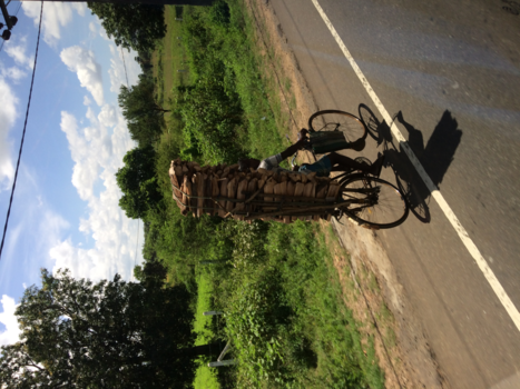 Sri Lanka - En dat op de fiets.......