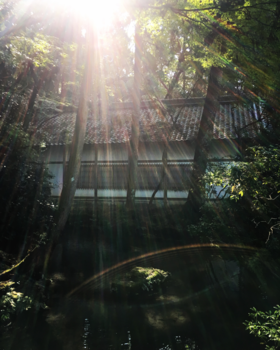 Kyoto - Honen-in Temple - Een oase van rust en schoonheid