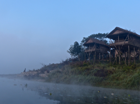 Chitwan National Park - een mistige morgen in nepal