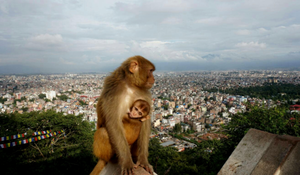 Kathmandu - Dit is Kathmandu!!