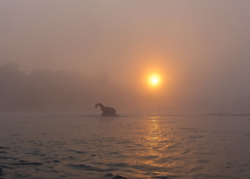 Chitwan National Park