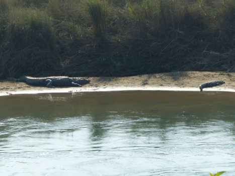 Chitwan National Park