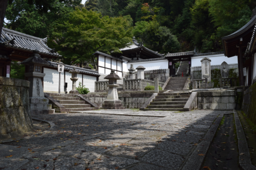 Kyoto - Chion-in, Kyoto. I got myself in a very peacful and serene part of the Temple.