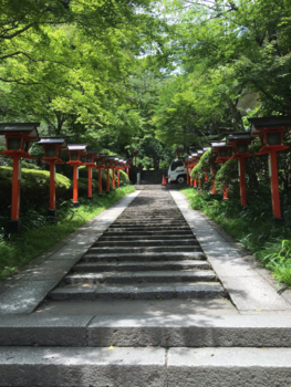 Kyoto - Japanese Nature