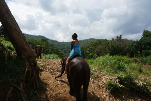 Rondreis Thailand in twee weken - Liefde en natuur