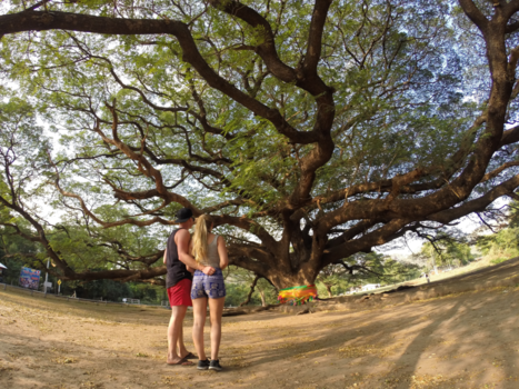 Thailand - wegen leiden naar de mooiste plekken!