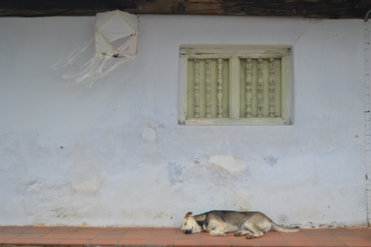 Sri Lanka - Sleeping Buddha