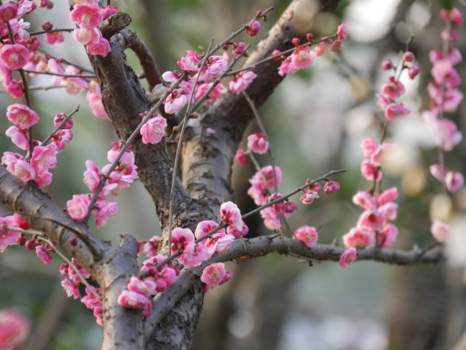 Hangzhou en West Lake