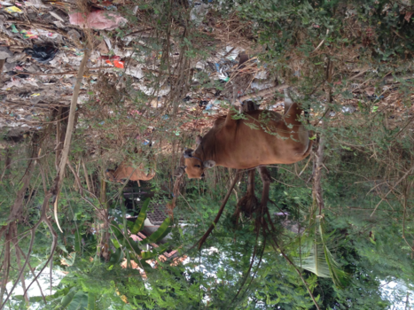 Nusa Dua en Tanjung Benoa - Ook dit is er nog