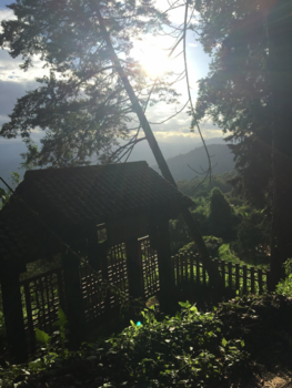 Thailand - THE BEAUTY OF CHIANG MAI