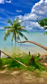 Thailand - Een droom werd waar!