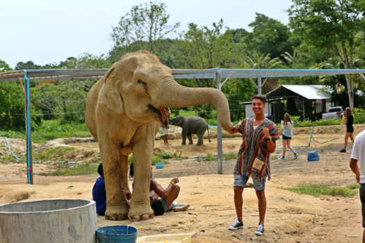 Phuket - Elephant jungle sanctuary Phuket