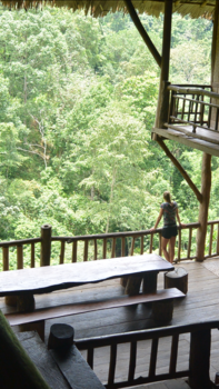 Thailand - the jungle can be overwhelming