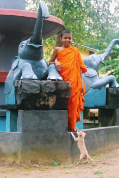 Sri Lanka - Poorvarama Raja Maha Viharaya Weherahena