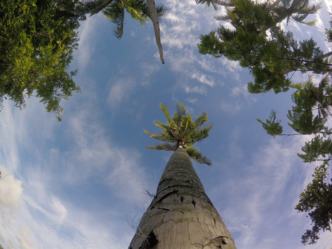 Filipijnen - Because I like this picture!