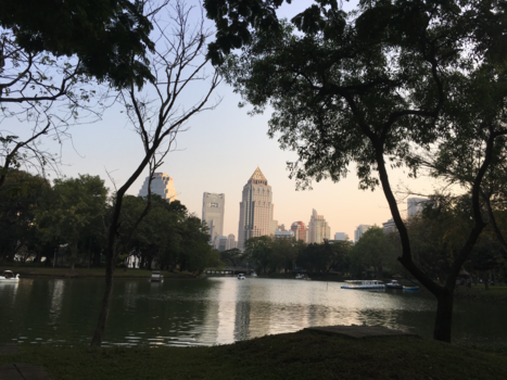 Thailand - Luhpine park