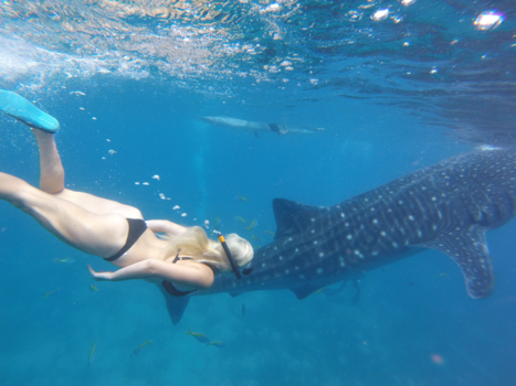 Filipijnen - Because this was amazing!