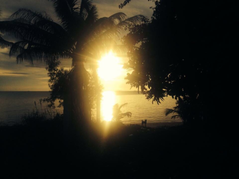 Rondreis Zuid-Thailand - Palmtree Sunset in Koh Lanta