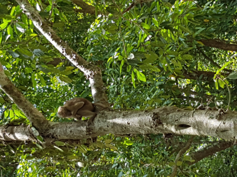 Erawan National Park