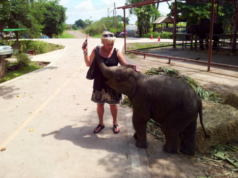Rondreis Thailand in vier weken - Speelse jonge olifant.