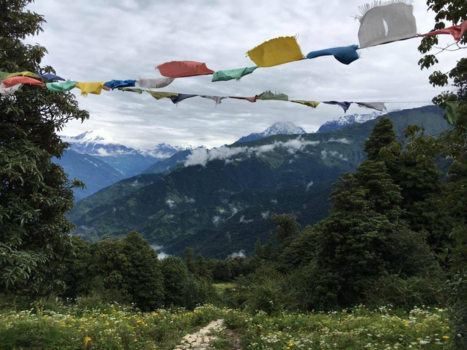 Annapurna Trail Trek - Poon hill trek