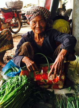 Rondreis Vietnam in twee weken - Mijn vriendin op reis