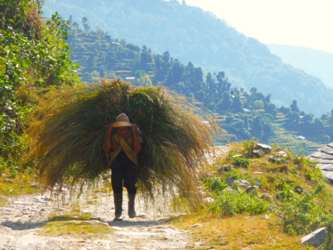 Himalaya - Dragers zijn de vrachtwagens van Nepal