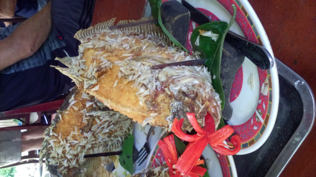 Vietnam - Olifantsoorvis als lunch!