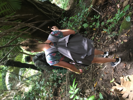 Thailand - Green dream