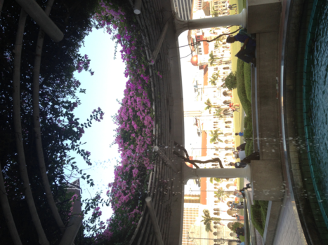 Maleisië - Rustplek in Kuala Lumpur