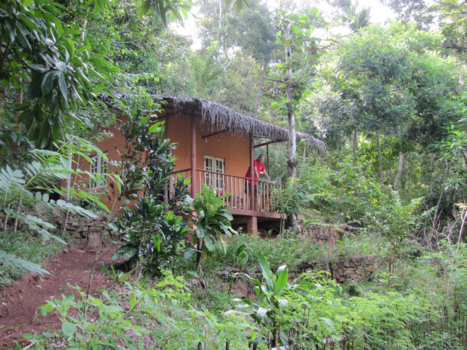 Sri Lanka - Sri Lanka - Regenwoud woning