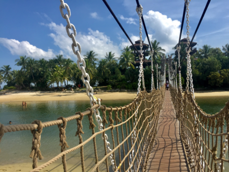 Sentosa Island - Who said artificial ain't beautiful? 😻