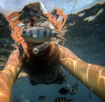 Koh Nang Yuan - Fishbomb🐟💥