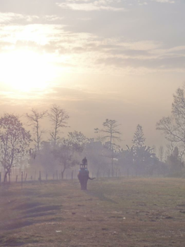 Nepal - Hobbelhobbelklik