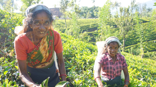 Sri Lanka - Getekende vrouwen.